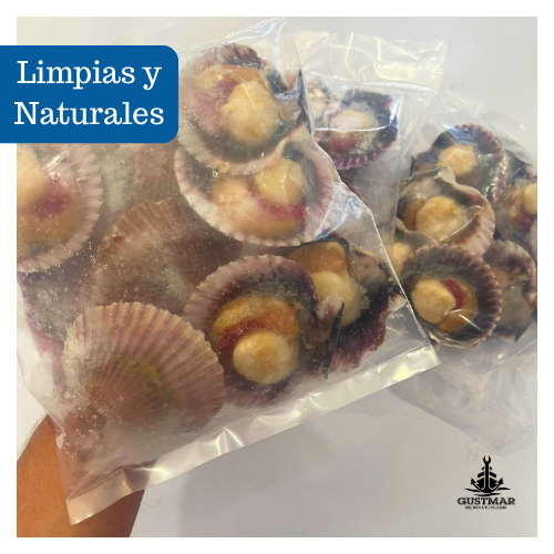 Ostión Media Concha™