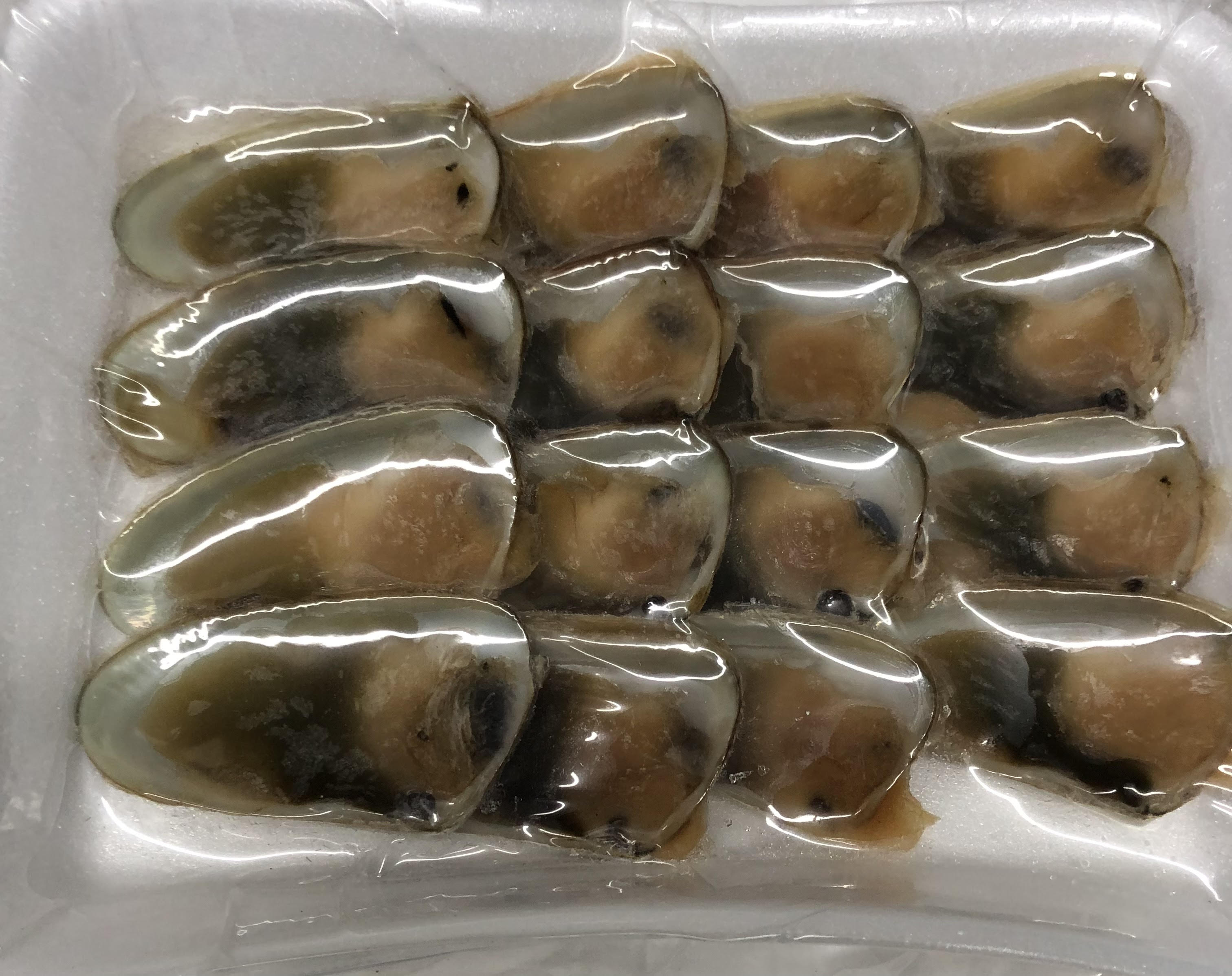 Macha Media Concha™